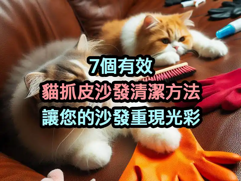 7個有效貓抓皮沙發清潔方法：讓您的沙發重現光彩