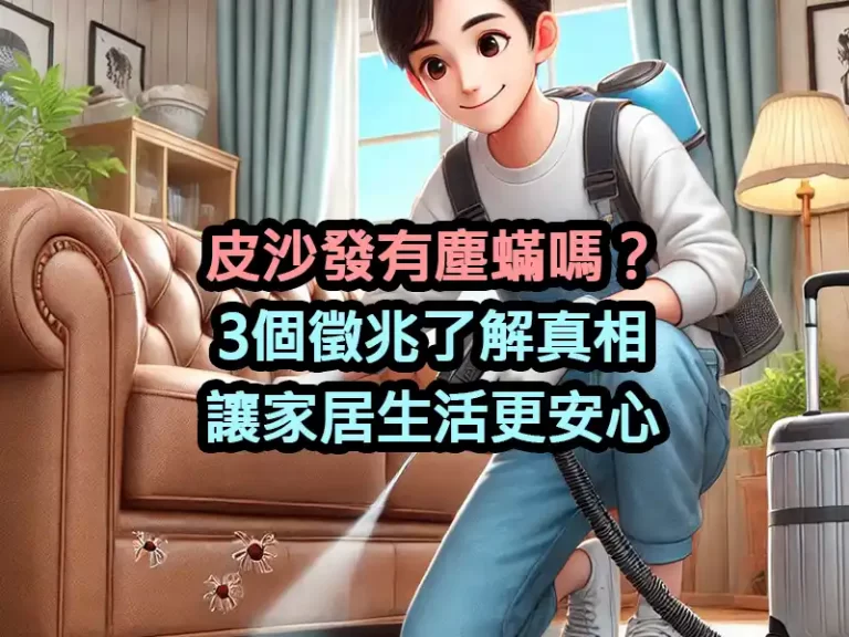 皮沙發有塵蟎嗎？3個徵兆了解真相，讓家居生活更安心