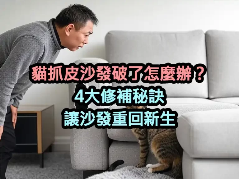 貓抓皮沙發破了怎麼辦？4大修補秘訣讓沙發重回新生