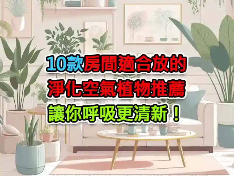 10款房間適合放的淨化空氣植物推薦，讓你呼吸更清新！