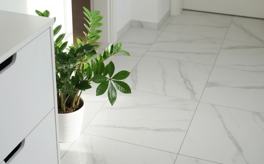 門口植物別亂放！這3種「最強招財植物」放對位置，讓你家運大開、橫財就手。 - Image 1