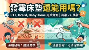 床墊發霉還能用嗎？PTT、Dcard、BabyHome 網友真實經驗